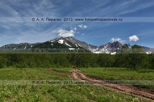 Лесная дорога на горный массив Вачкажец